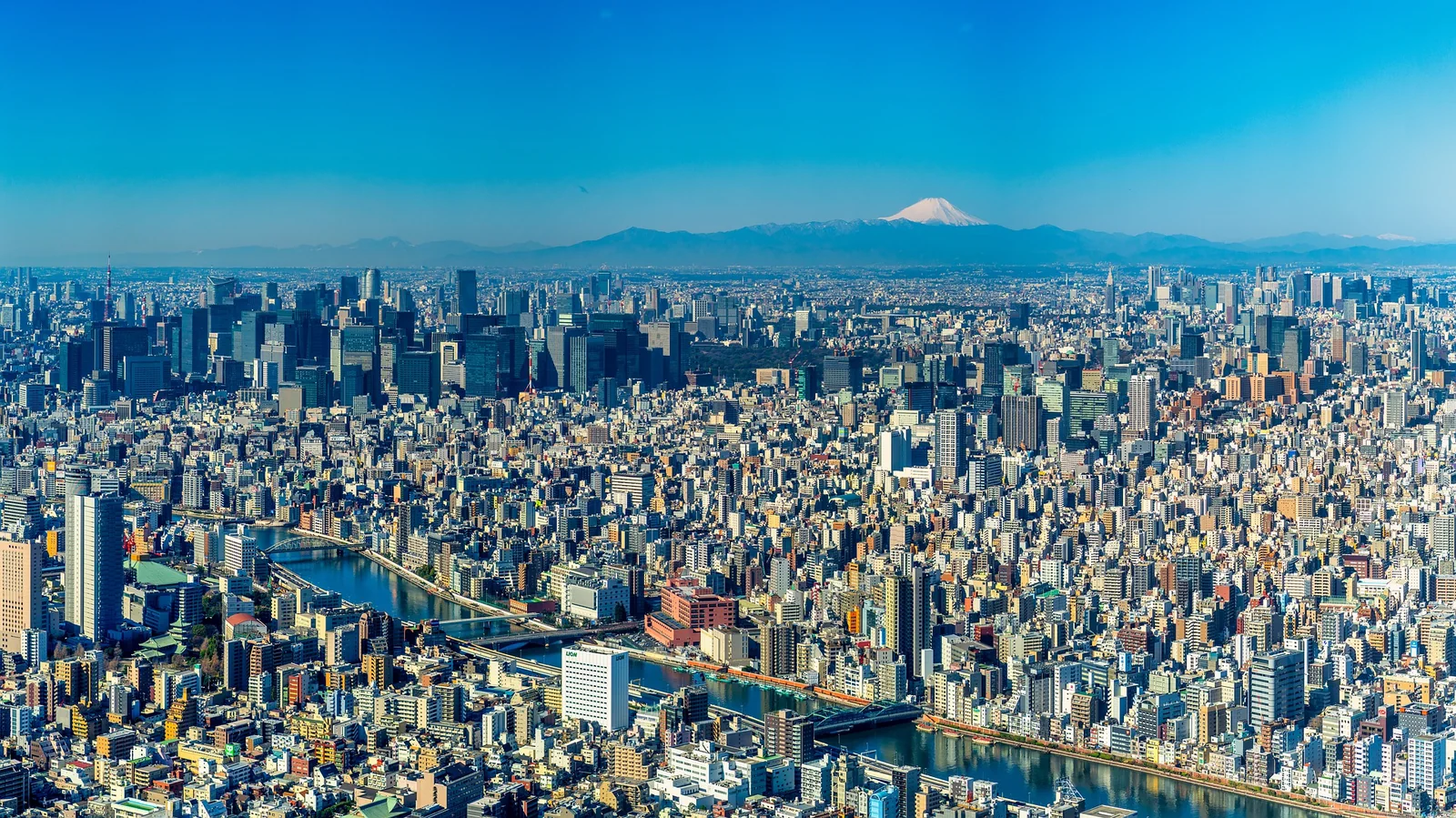 街と暮らしが広がる東京の風景